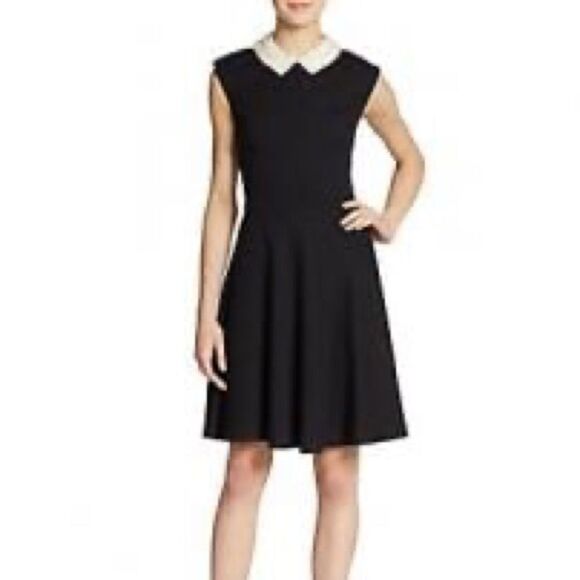 Betsy Johnson Navy Pearl Collared Fit & Flare Dress - Picture 7 of 14